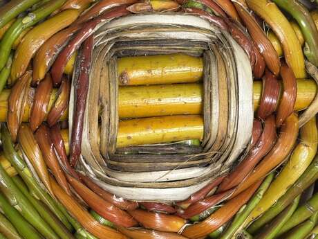 Au labo du Château : Vanne & rie !