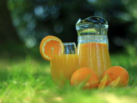 Pure Flow: Festival Opening