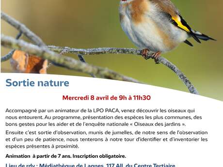 Les oiseaux des jardins à Lagnes