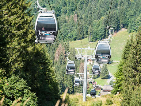 Ardent Gondola Lift