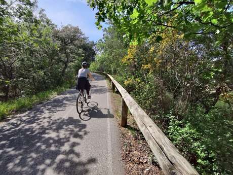 Parcours cyclable du littoral - V65 : Bormes-les-Mimosas >