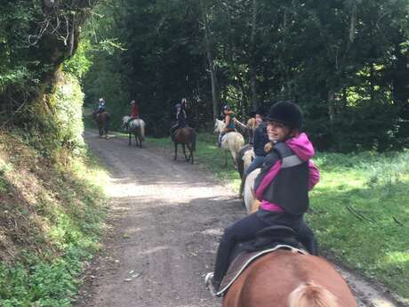 Balades et randonnées à cheval