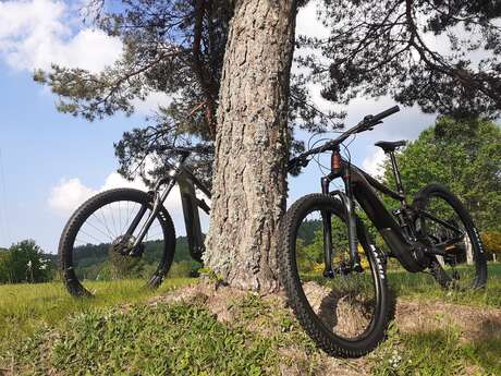 École de pilotage, Rando moto et VTT AE - Greg Fayard