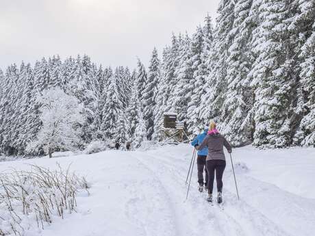 Ski nordique découverte
