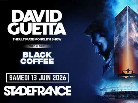 Concert - David Guetta