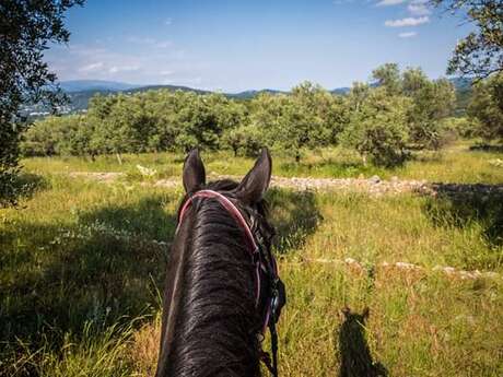 Haras des Villards: passeggiata di mezza giornata "Vista sul mare e sulle montagne