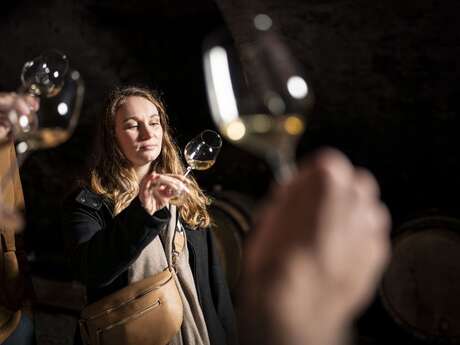 Culture et Vins au Domaine Pichon