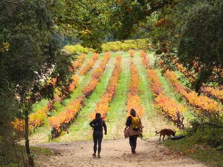 Randonnée de la Courge