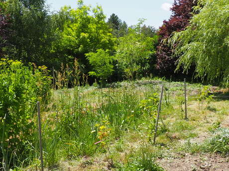 Micro-ferme Florale "Arteralya", Gaec