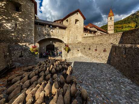 Revendran, departure of the herds from the mountain pasture