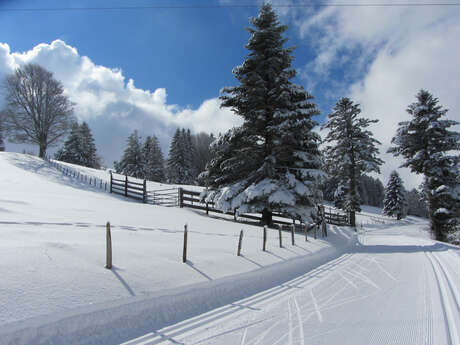 Ski de fond à la Croisette - Piste rouge - Croisette