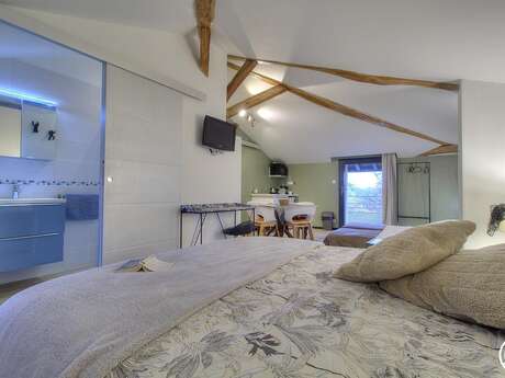 Chambres au vieux saule