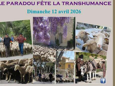 Fête de la Transhumance à Paradou