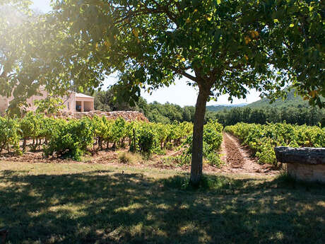 Château Saint-Baillon