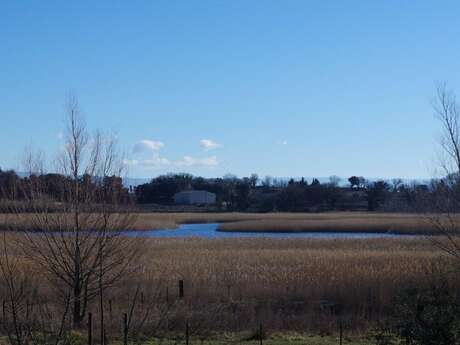 Aire de pique-nique et Toilettes Etang Salé