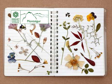 Relier son mini-herbier