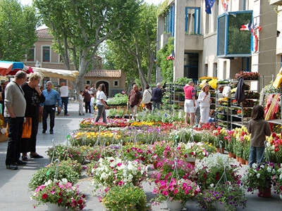 Market in Rousset