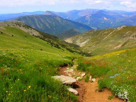 The summit of Teillon