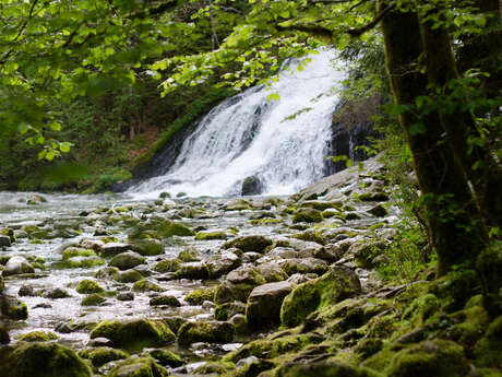 Anes et Flore - Cascade du Pissieu