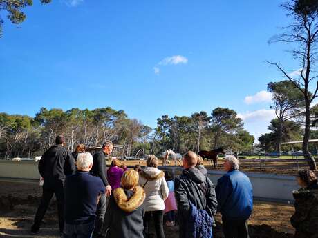 Visite du centre équestre Le Deven