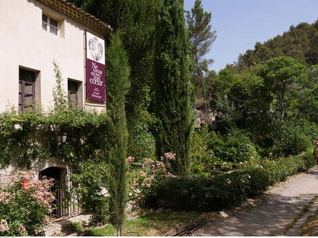 Exhibition: Memory of Leaves