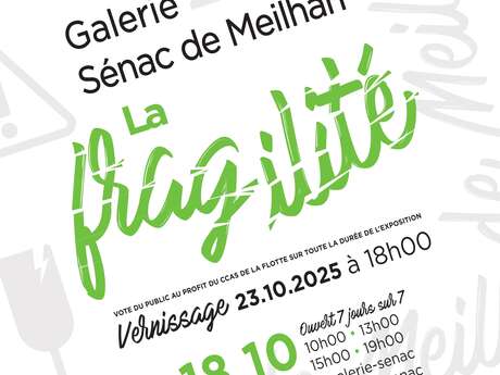 Exposition à la Galerie Sénac de Meilhan - La Fragilité