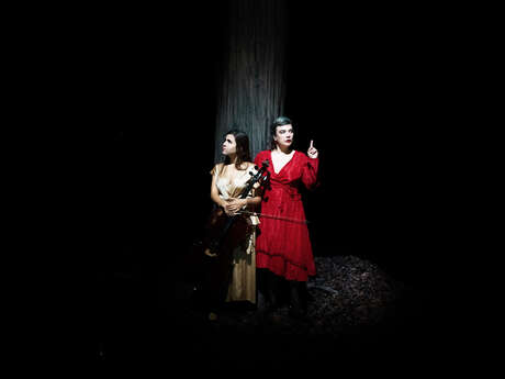 Birds On A Wire (folk, world music) - ÀLAFOLIE!