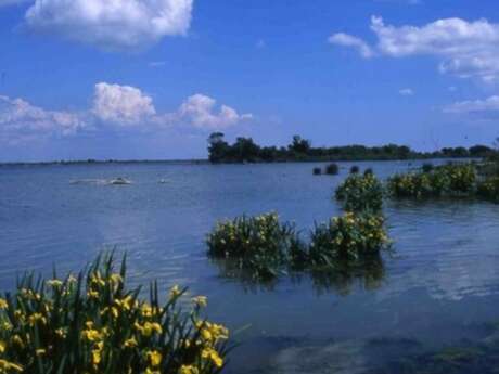 Fête de la nature 2026 : Visite guidée au domaine de la Palissade