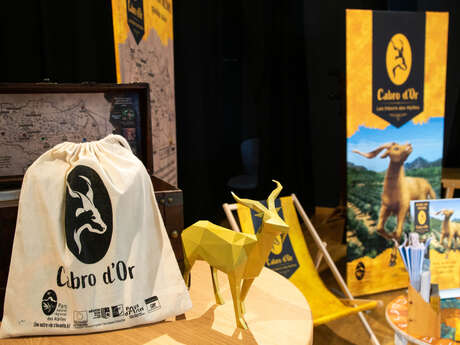 La Cabre d'Or : Découverte du jeu avec des sorties semi-guidées