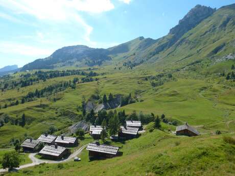 Randonnée : le plateau de Samance