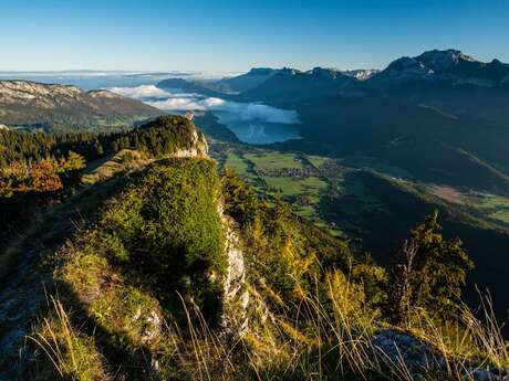 Randonnée pédestre : montagne du Charbon