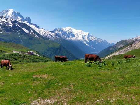 Ferme de Montroc