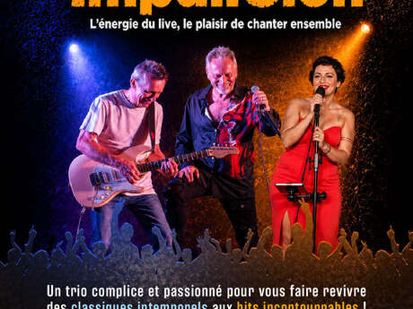 Concert - Trio Impulsion