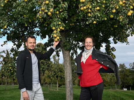 Dégustation des cidres de Judith J. Sciarone