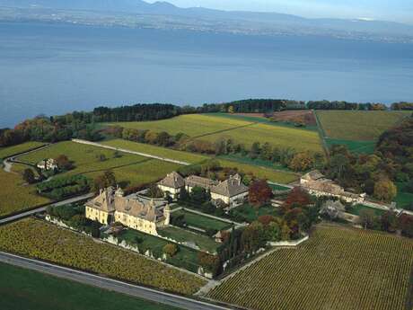 Le Grand Ripaille