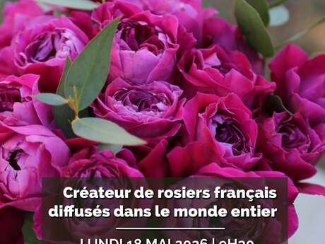 Visite Des Roseraies Meilland