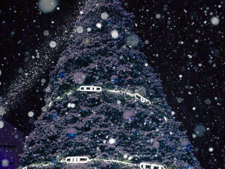 L'Illumination du Sapin