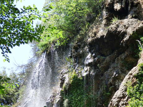 Visite du Vallon des Carmes | Rendez-vous Un dimanche en Provence Verte & Verdon