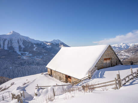 Le Forest des Marches