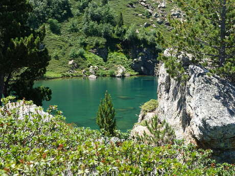 Les mercredis de la Réserve : Vis ma vie de gestionnaire : les  lacs, objets de rêve, objets d'études
