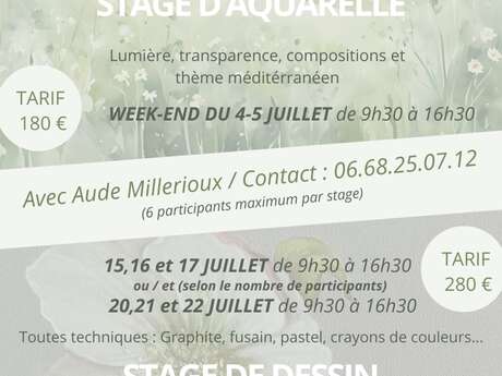 Stage d'aquarelle et Dessin  - ACCA