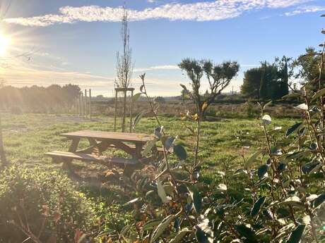 Picknickplaats, trimparcours