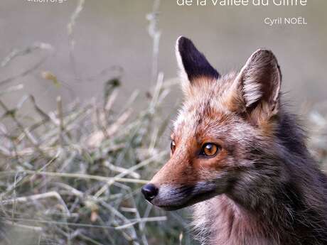EXPO PHOTO "Faune sauvage de la vallée du Giffre" par Cyril NOËL