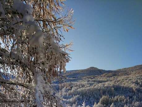 Chalet Les MORIO 1 - Baldini Guy