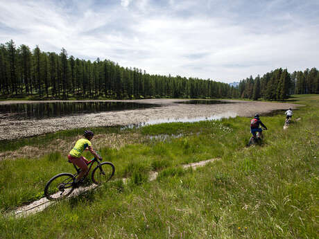 Lac de Roue, une balade dans les mélézes en VTT