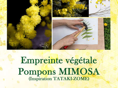 Atelier à l'Oustaou dòu pais-Empreinte végétale Pompons Mimosa