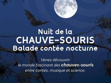 Nuit de la chauve-souris, balade contée nocturne à Seillans