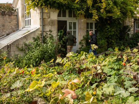 Rendez-vous aux jardins : Le potager du Roy
