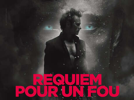 REQUIEM POUR UN FOU LA TOURNÉE CENT POUR CENT HALLYDAY