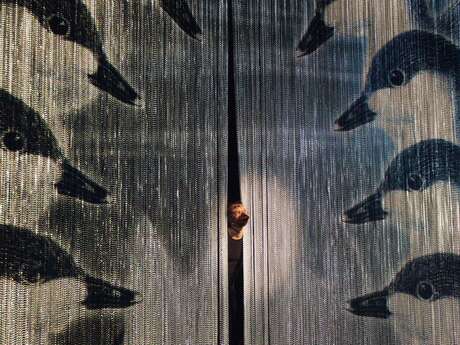 Le Vilain Petit Canard - Sandra Gaudin